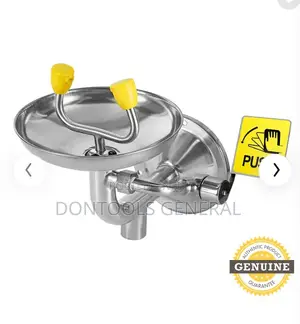 Stainless Wall Mounted Eyewash Station