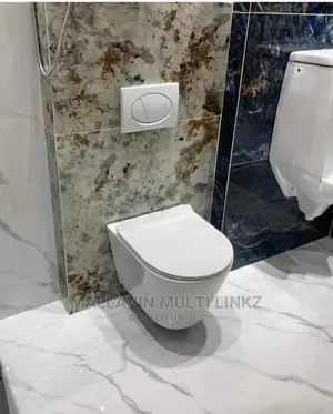 Concealed or Wall Hung Wc