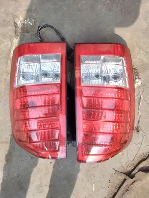 Hyundai Entourage 2008 Back Light