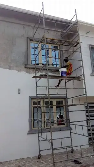 Professional Wall Screeding