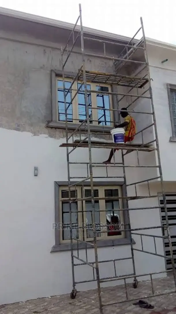 Professional Wall Screeding
