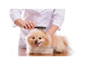 Dog Grooming