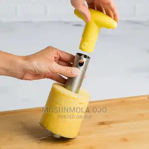 Pineapple Corer Slicer