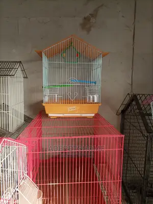 Beautiful Cages for Birds