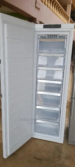 German Heavy Duty Standing Freezer