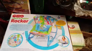 Infant to Toddler Rocker