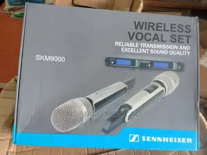 Double Wireless Microphone