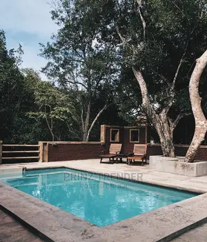 Swimming Pool Construction and Maintenance