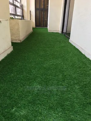 Germany 30mm Synthetic Grass Rug