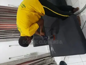 Fabric Sofa and Carpet Cleaning Services