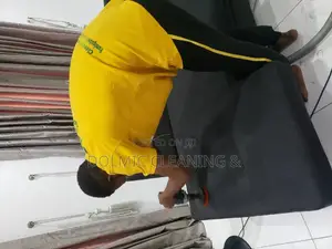 Upholstery Chair and Rug Cleaning