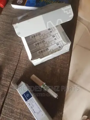 Spark Plug