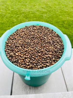 Miracle Seed/Ghana Seed 4 Flat Tummy and General Weight Loss