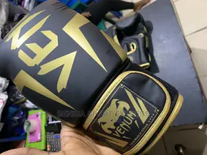 Pro Boxing Gloves (Venum)