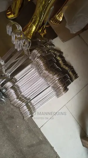 Neat Brand New Clothes Stainless Hangers