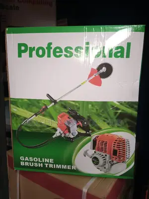 Brush Trimmer Engine