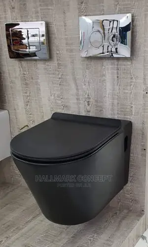 Executive Wall Mounted Water Closets.