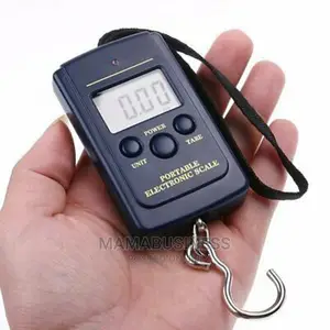 Potable Electronic Luggage Scale- 40kg/10g