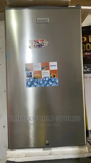 Skyrun Standing Fridge Bd 90J