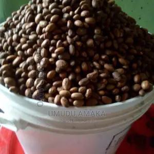 Miracle Seed/Ghana Seed Healthy Seed