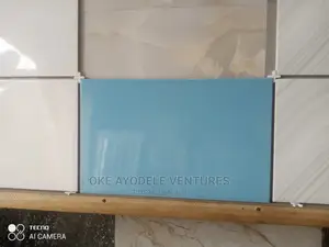 Blue Tiles : Royal Wall Tiles (25/40)