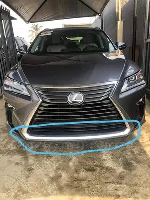 Front Bumper Down Chrome for Lexus Rx350 2017-2019