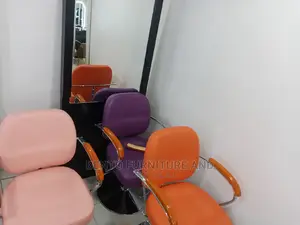 Salon Chair