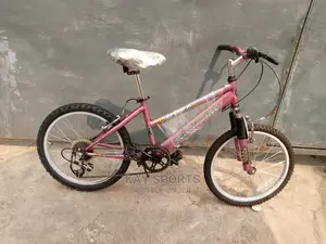 Road Master Children Bicycle