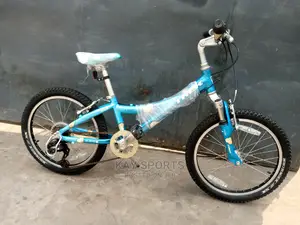 Trek Children Bicycle
