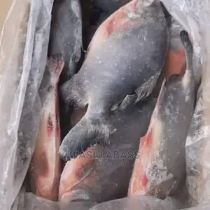 Shaykh Abass Frozen Foods.