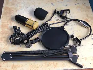 Studio Microphone With Stand