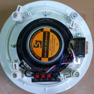 Sound Cord Ceiling Speaker