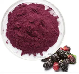 Mulberry Powder Lower Cholesterol,Improve Sugar Level 250g