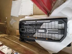 Modified Front Grille Ford F150