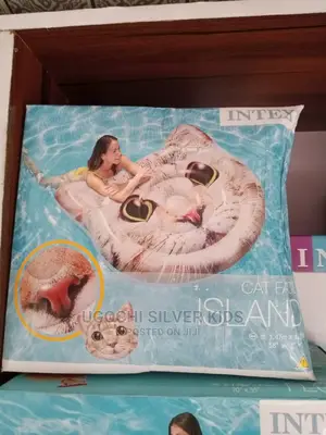 Swimming Floater Cat Face