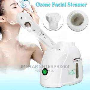Free Delivery Ozone Facial Steamer Face Vaporizer Sprayer