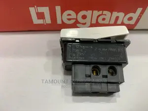20A Switch 1 Module With Plate