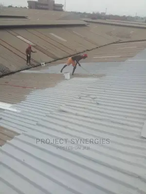 Waterseals Roof Coat Polymer
