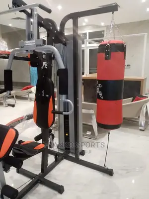 Station Gym With Punching Bag