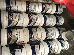Dulux Paint