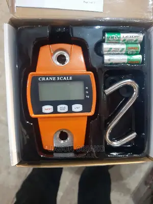 300kg Hanging Crane Digital Scale