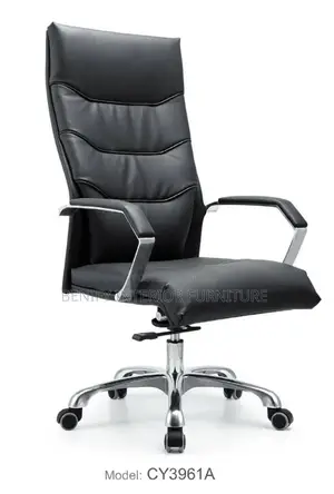 Ergonomic Executive