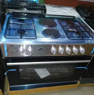 Electric And Gas Burner With Oven