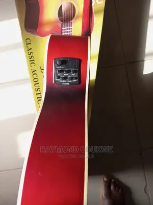 Professional Standard Electric Acoustic Guitar