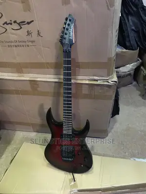 Professional Washburn Lead Guitar