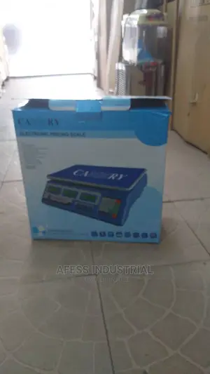 Digital Electronic Scale