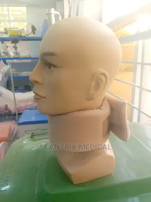 Immobilizer Cervical Collar Neck Support