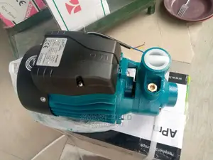 Leo Surface Water Pump
