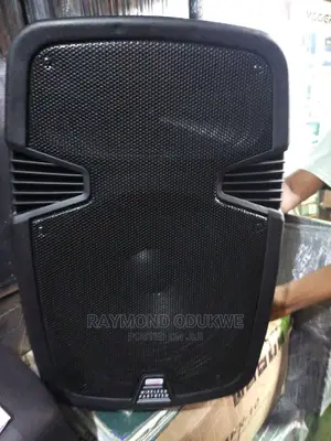 Professional 15 Inches P.A System With 2wireless Microphones