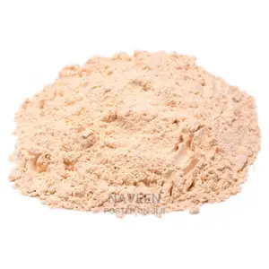 Rice Protein Powder - 100g